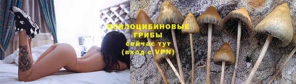 молекула духа Балабаново